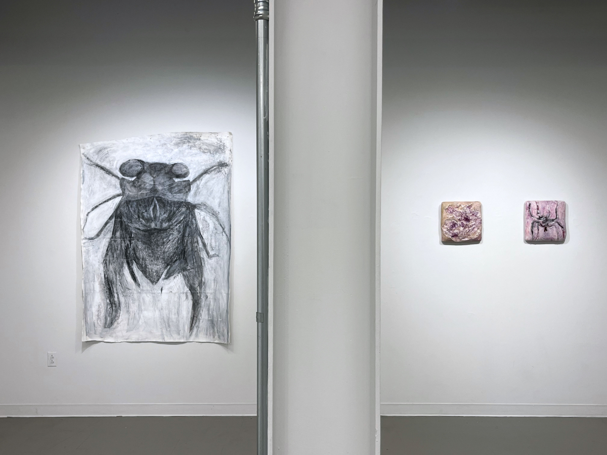 nightblooming-install-04