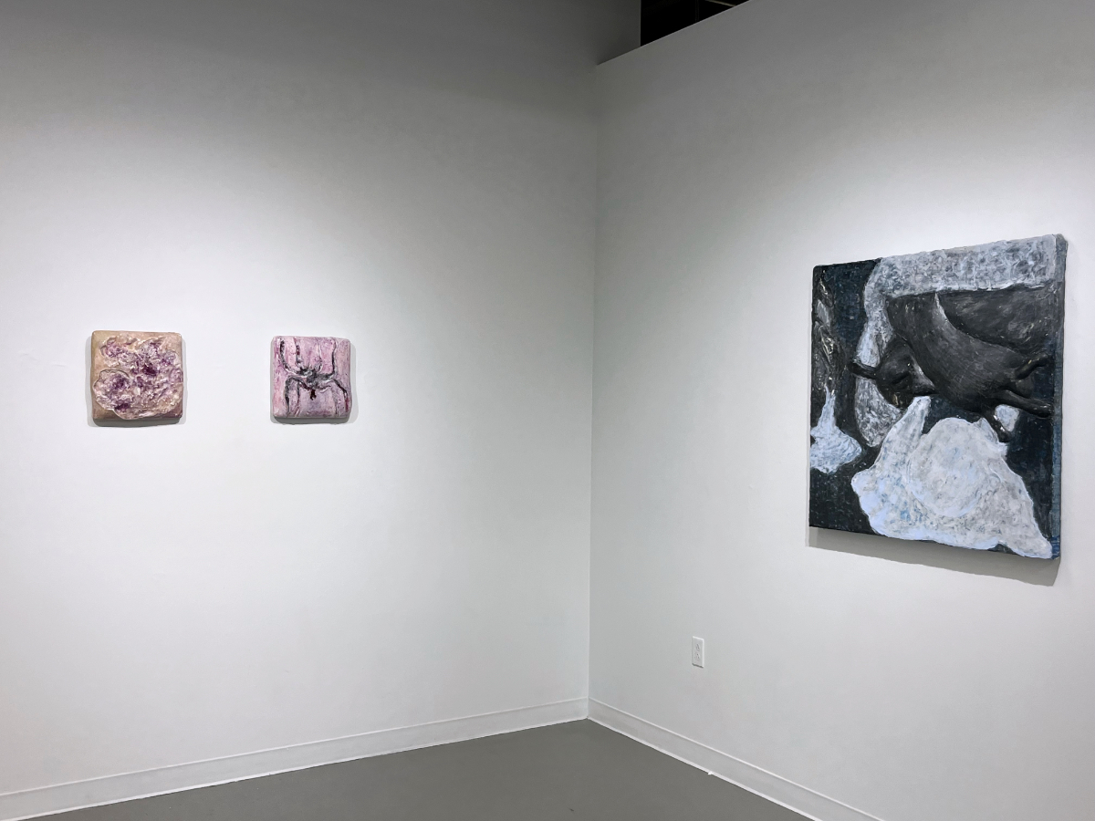 nightblooming-install-05